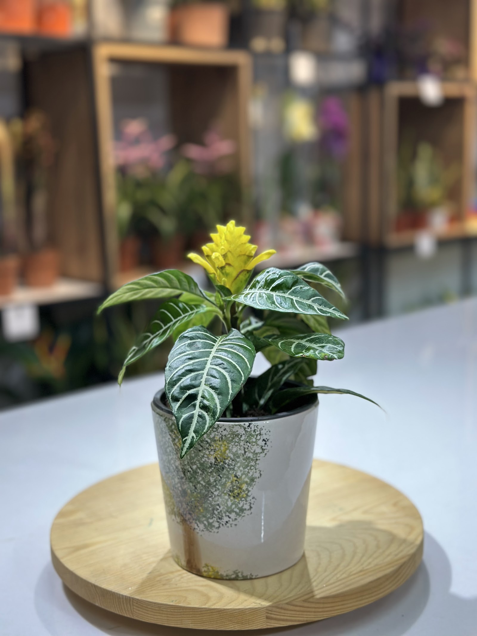 des vu fleurs