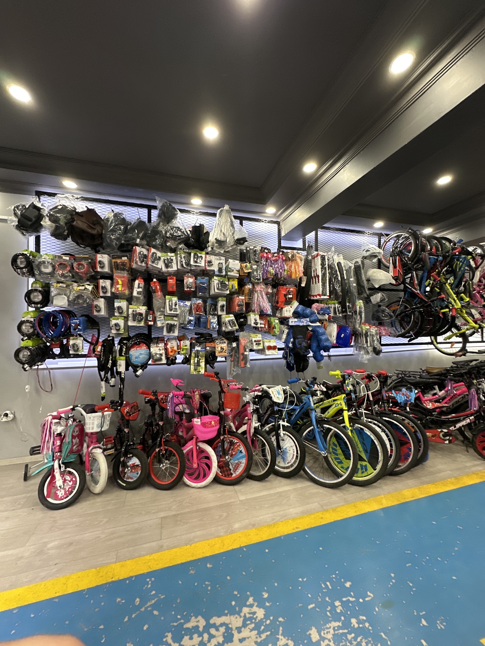 Volta Motor Fabrika Satış Mağazası Erzincan
