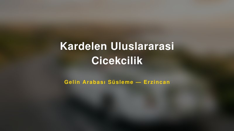 Kardelen Uluslararasi Cicekcilik Gelin Arabası Süsleme Fiyatları — 1