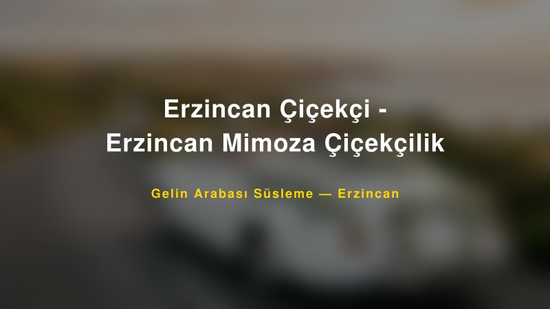 Erzincan Çiçekçi - Erzincan Mimoza Çiçekçilik Gelin Arabası Süsleme Fiyatları